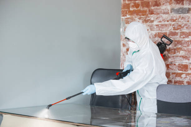 Best Forensic Mold Investigation in USA